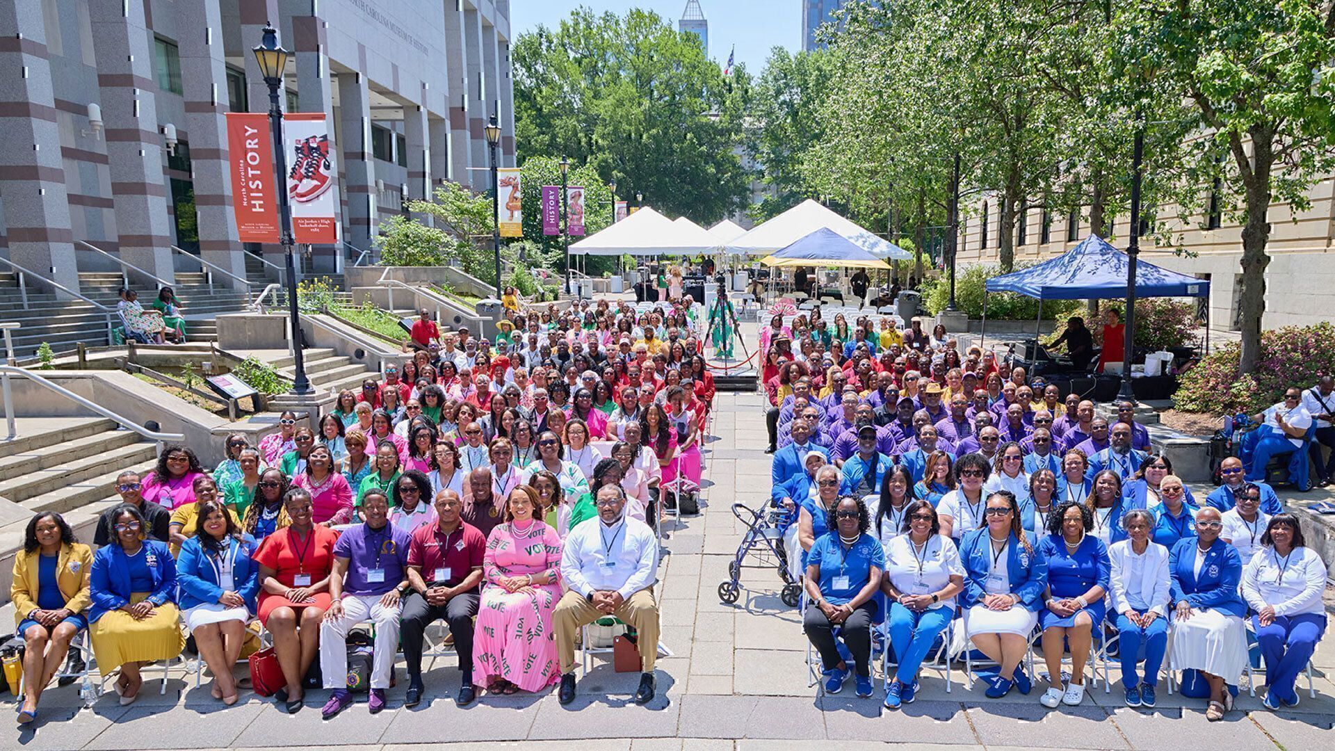 Divine 9 sororities and fraternities large group photo