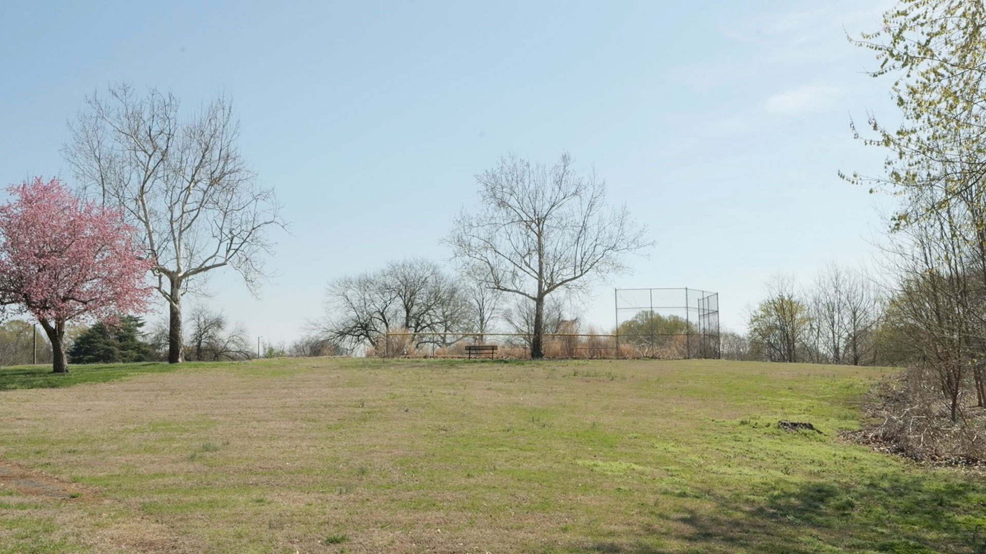 Bingham Park, Greensboro, NC